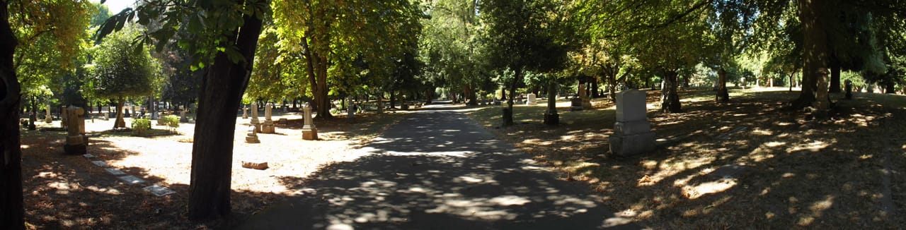 A wide panorama of the main road through Lone Fir Cemetery's grounds, shaded by mature trees.