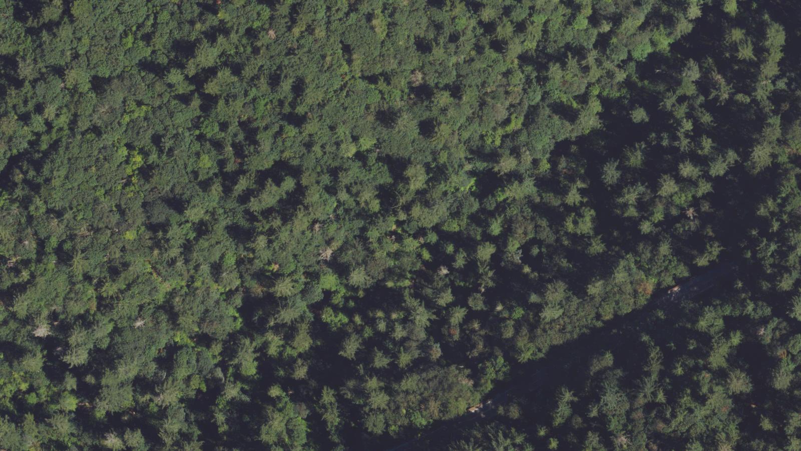 Aerial survey view of Witch's Castle (Stone House, Macleay Park Shelter)