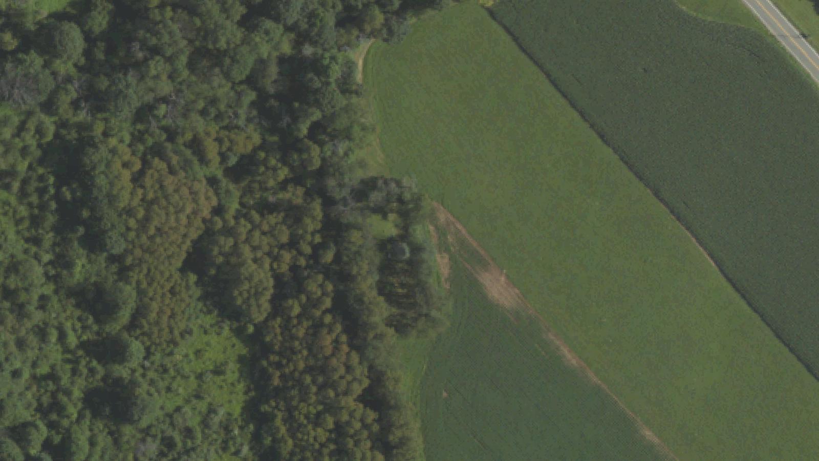 Aerial survey view of Becky's Grave (Snavely Cemetery)