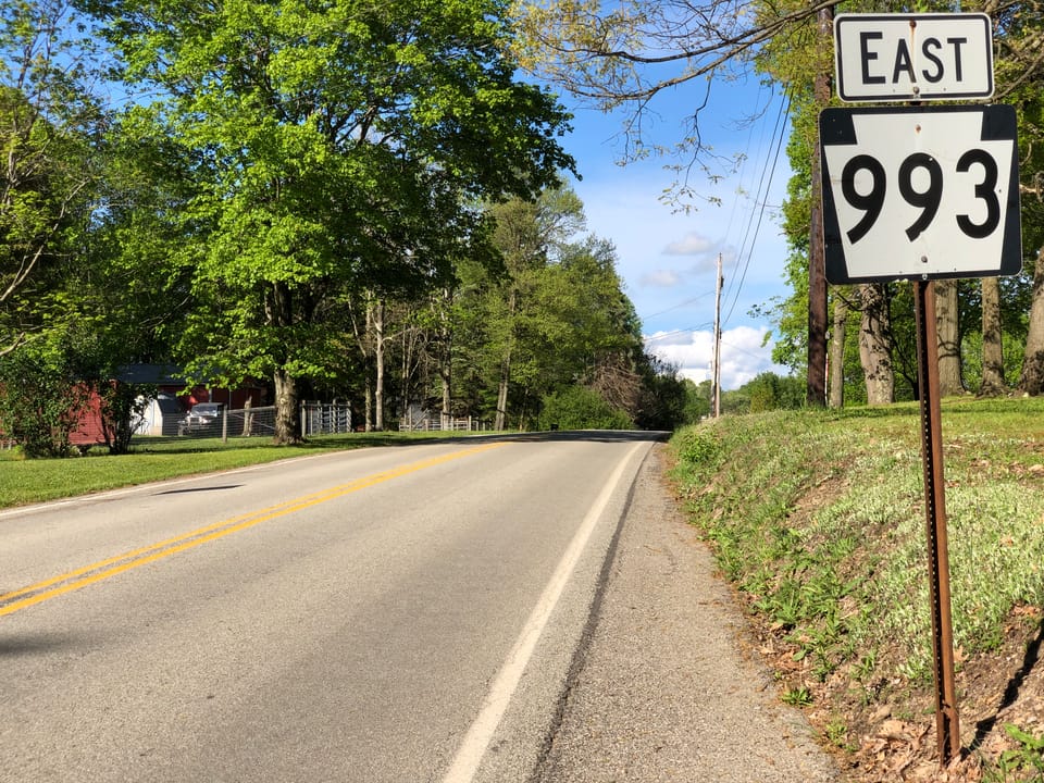 View east along Pennsylvania State Route 993 (Bushy Run Road) at Chestnut Lane in Penn Township, Westmoreland County, Pennsylvania