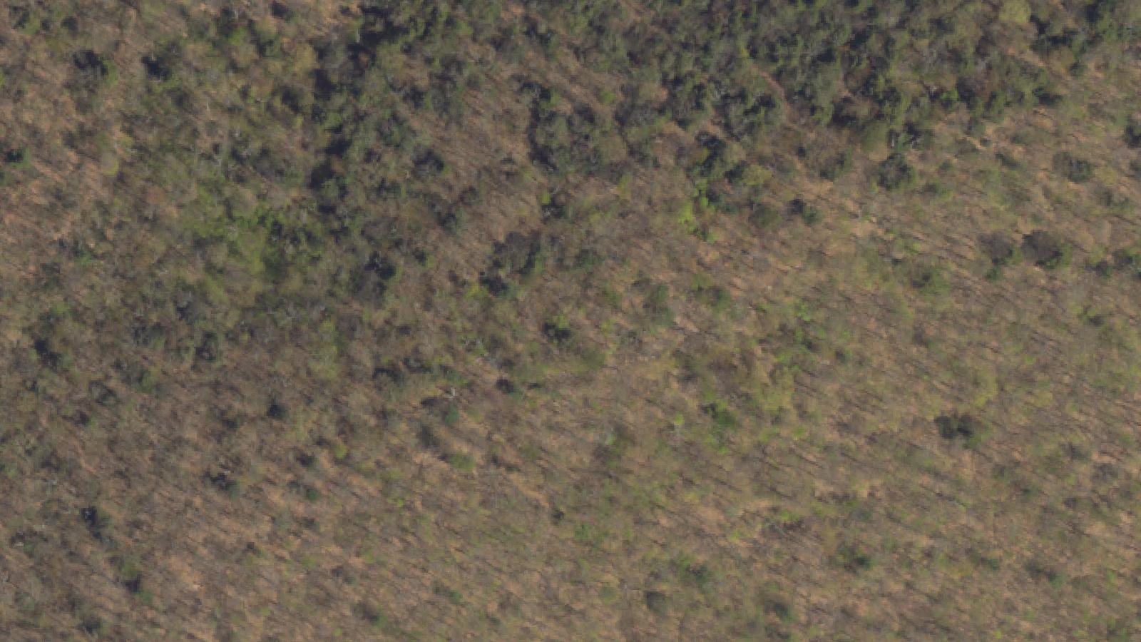 Aerial survey view of Egg Hill Church
