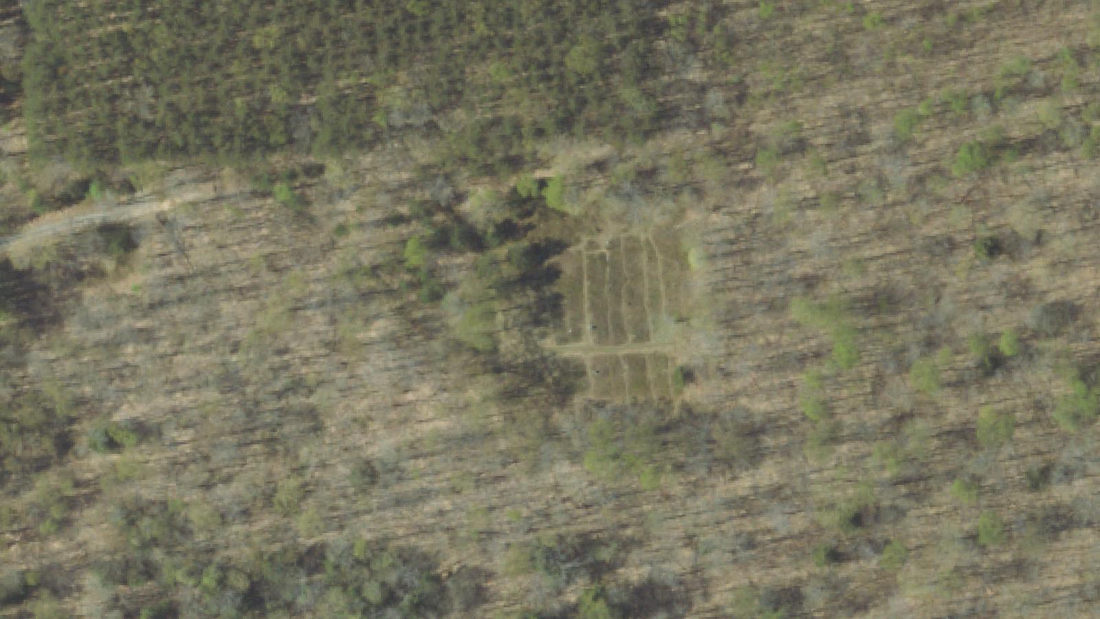 Aerial survey view of Fall Brook Cemetery