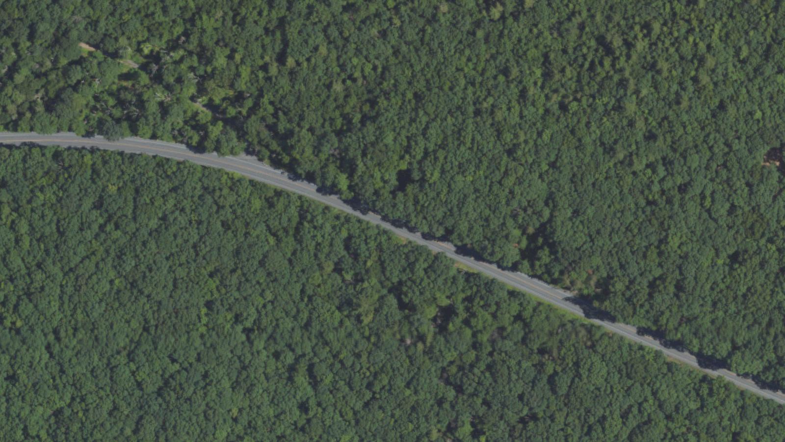 Aerial survey view of Gordon Mountain (Broad Mountain)