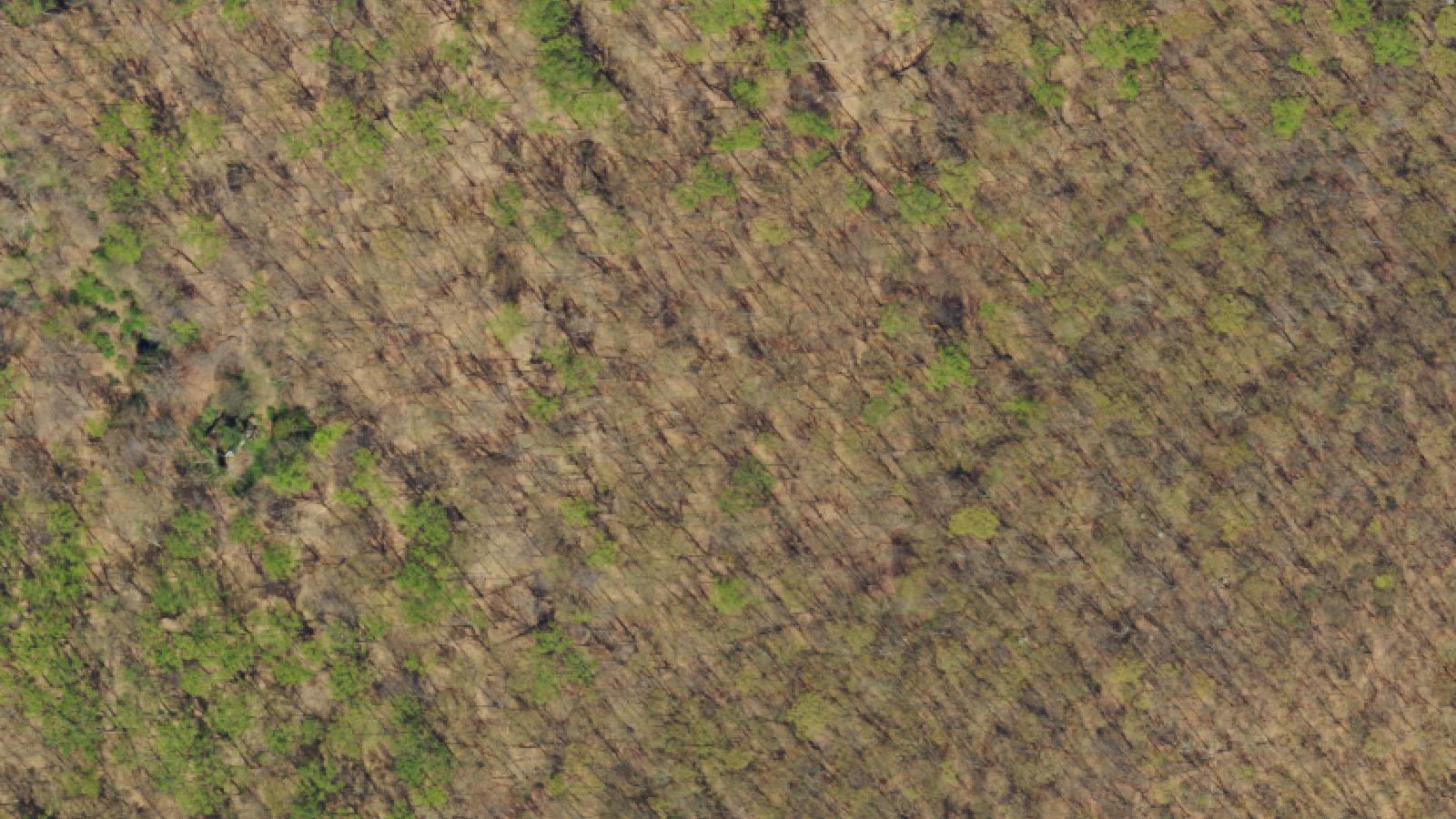 Aerial survey view of Hansell Road