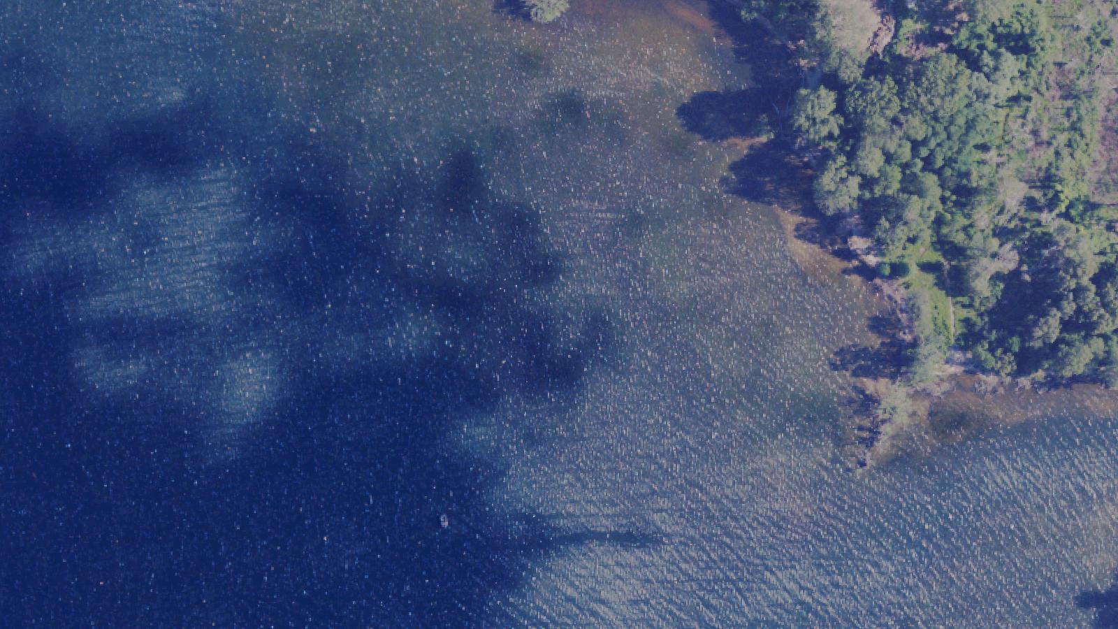 Aerial survey view of Misery Bay (Presque Isle State Park)