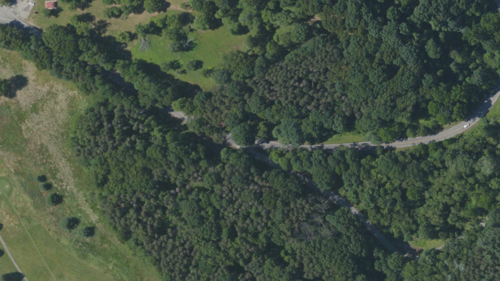 Aerial survey view of North Park Gravity Hill