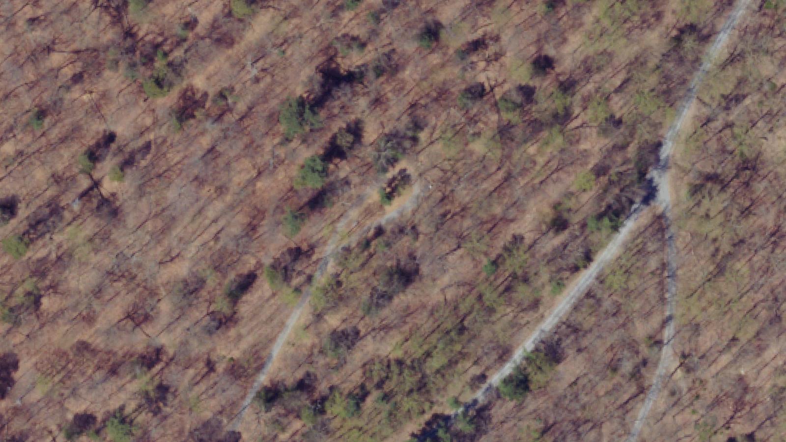Aerial survey view of Pandemonium and Pioneer Cemetery