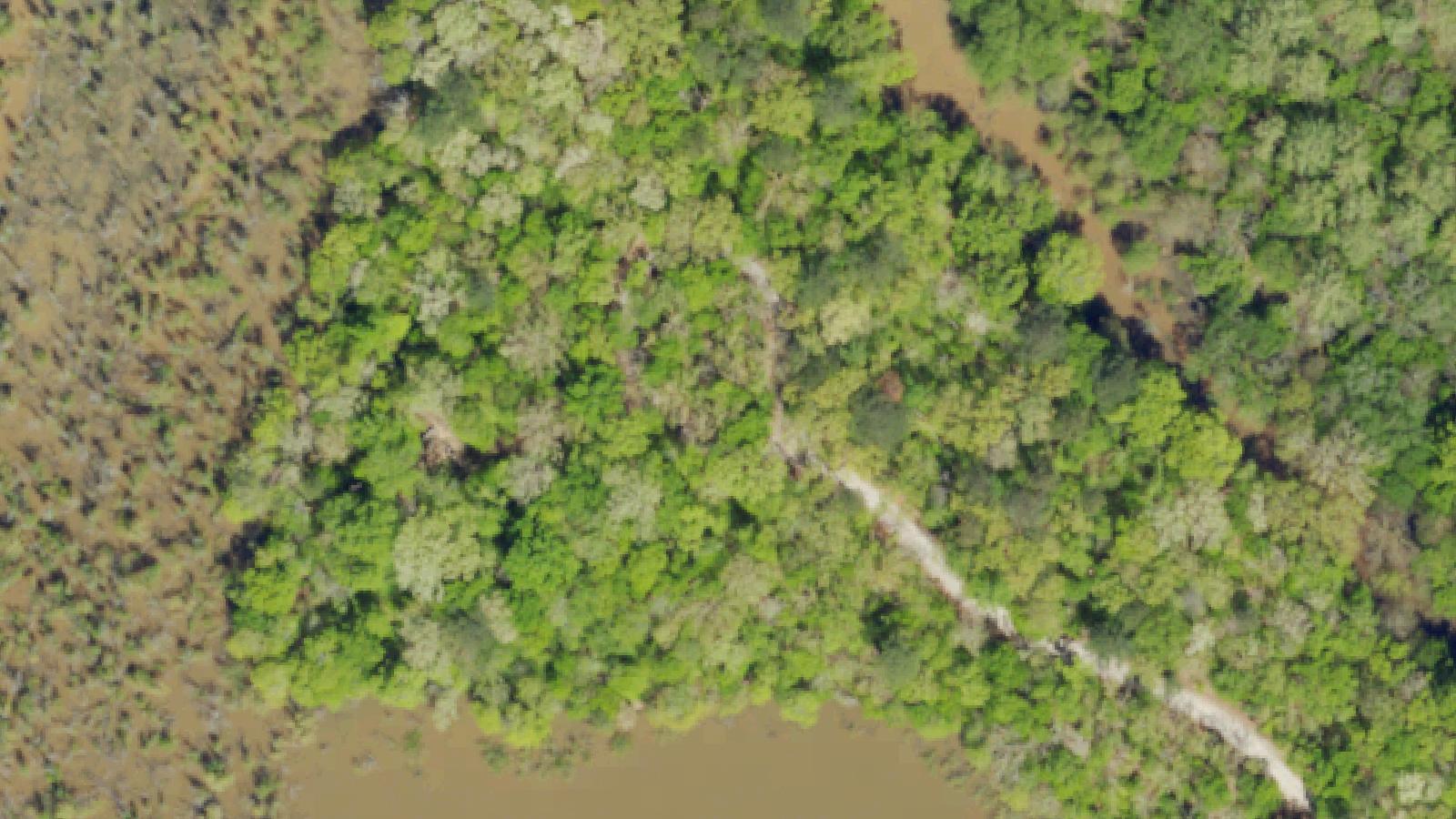 Aerial survey view of Badwell Cemetery