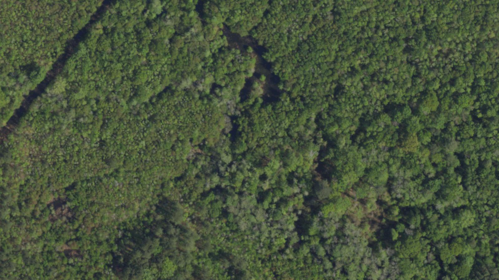 Aerial survey view of Bingham's Light