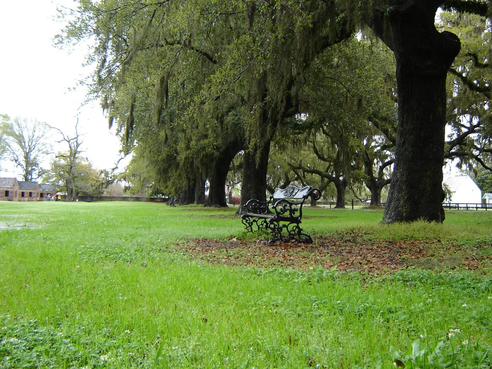 Photo of Boone Hall Plantation