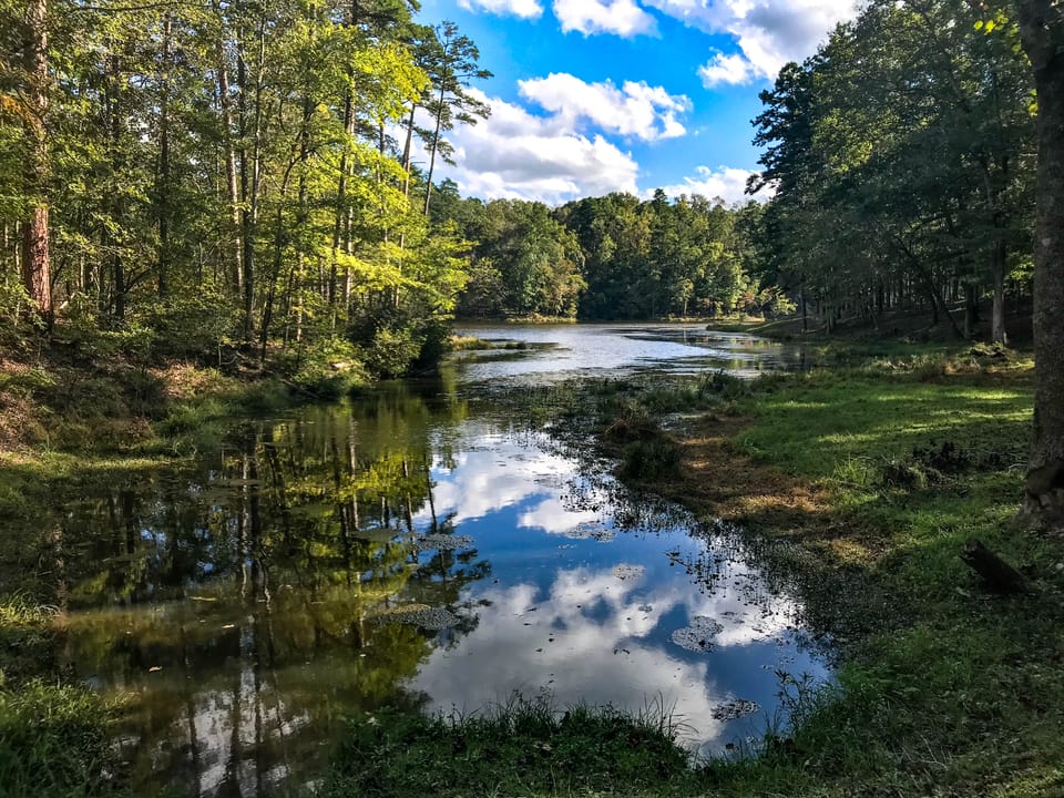 Lake surrounded by woods
Kings Mountain State Park borders Kings Mountain National Military Park.  Many of the parks' trails are connected.
Keywords: Kings Mountain National Military Park; KIMO; South Carolina; Kings Mountain