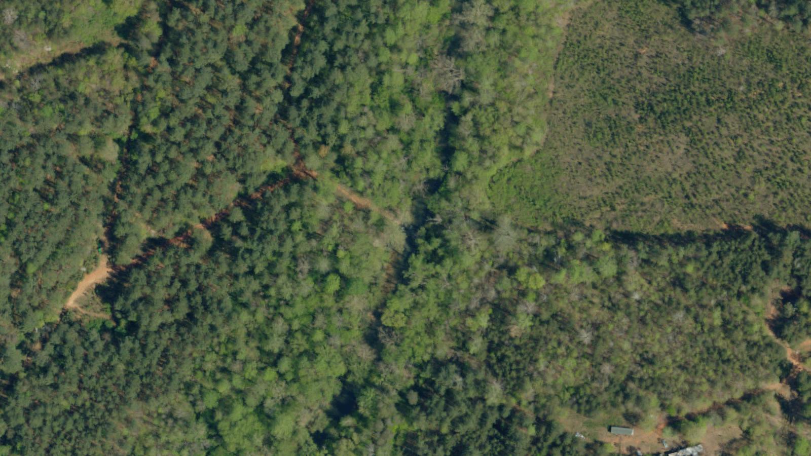 Aerial survey view of Lonely Bridge