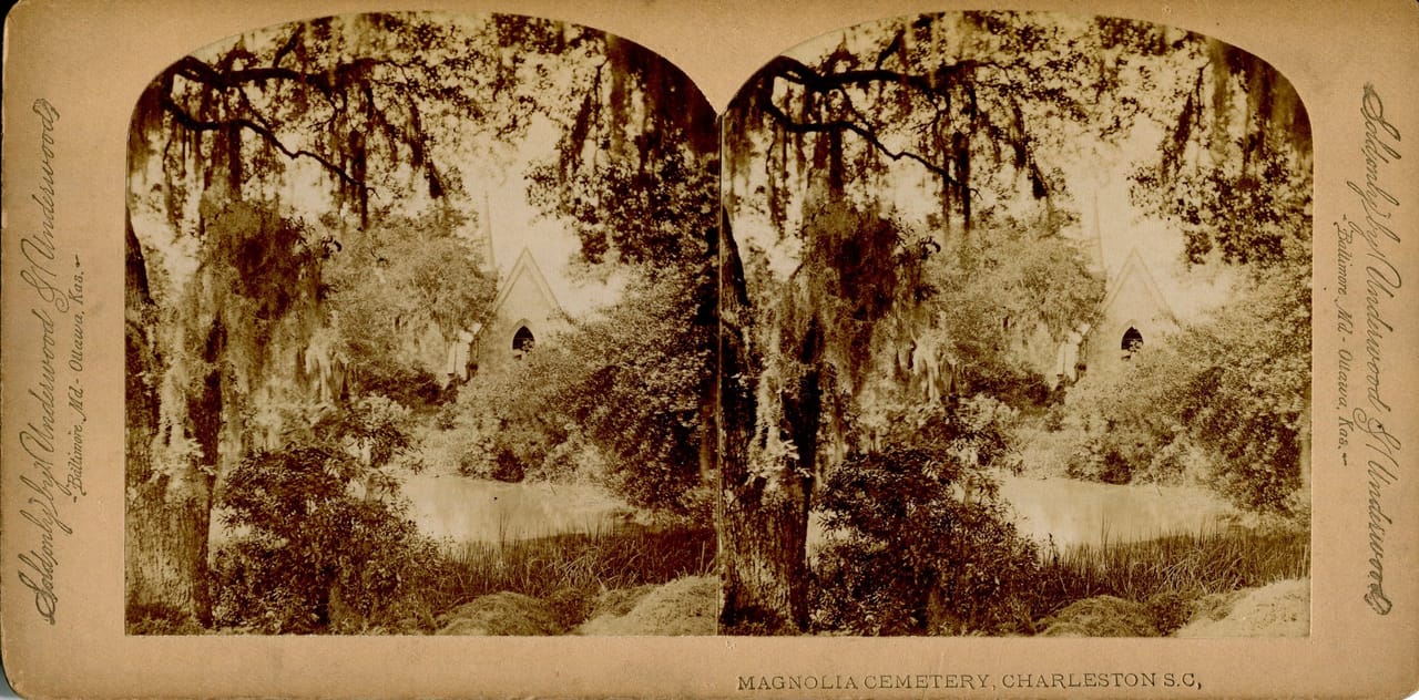 Spanish-moss-draped live oak overhanging tombstones at Magnolia Cemetery in Charleston, South Carolina, photographed circa 1900