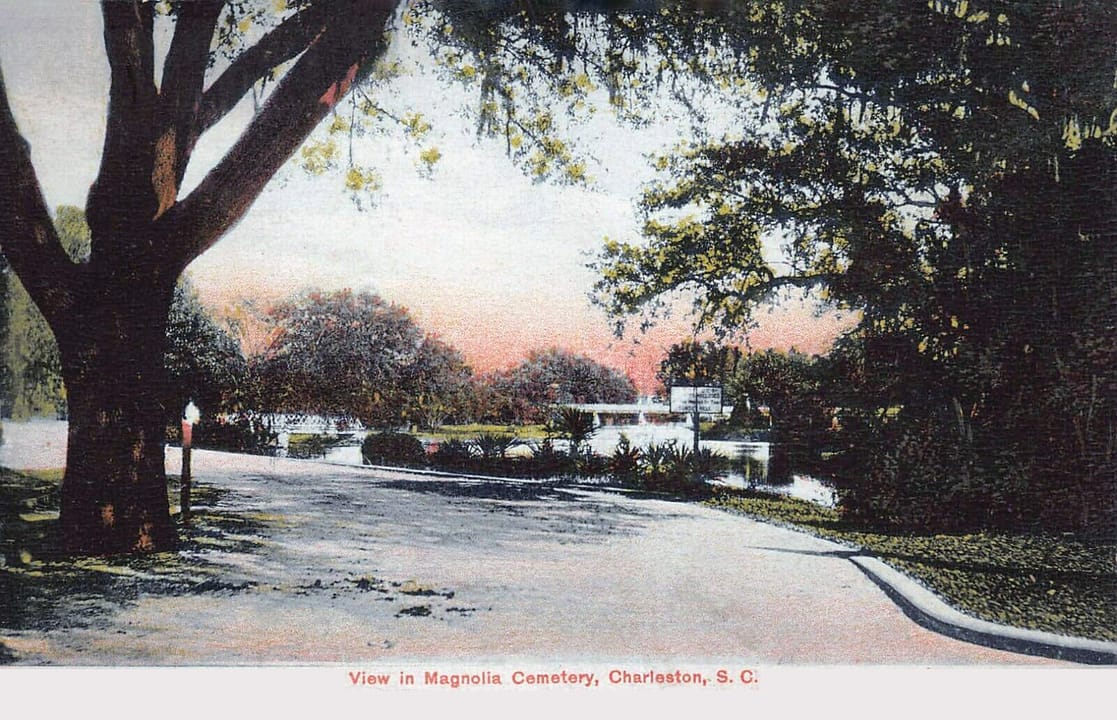 A period postcard view of a road through Magnolia Cemetery's live oaks, Charleston, circa 1907.