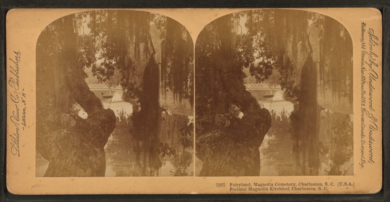 A moss-hung avenue known as 'Fairyland' within Magnolia Cemetery, Charleston, on a period stereoview card.