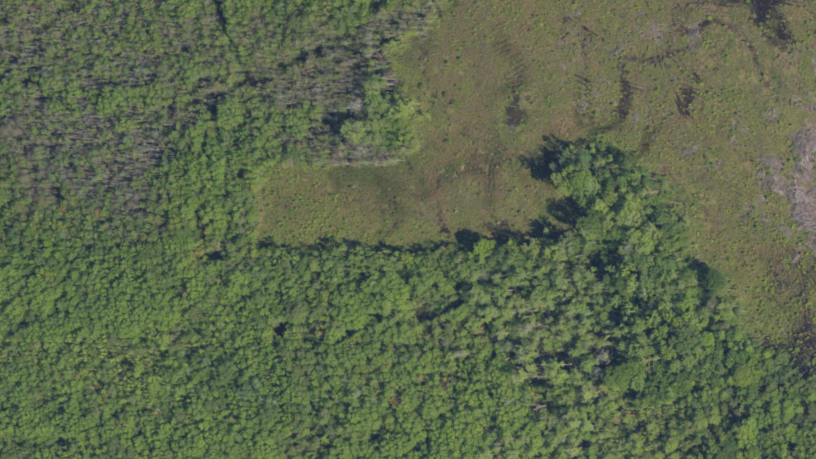 Aerial survey view of Wateree River Swamp Bridge (Phantom Hitchhiker)