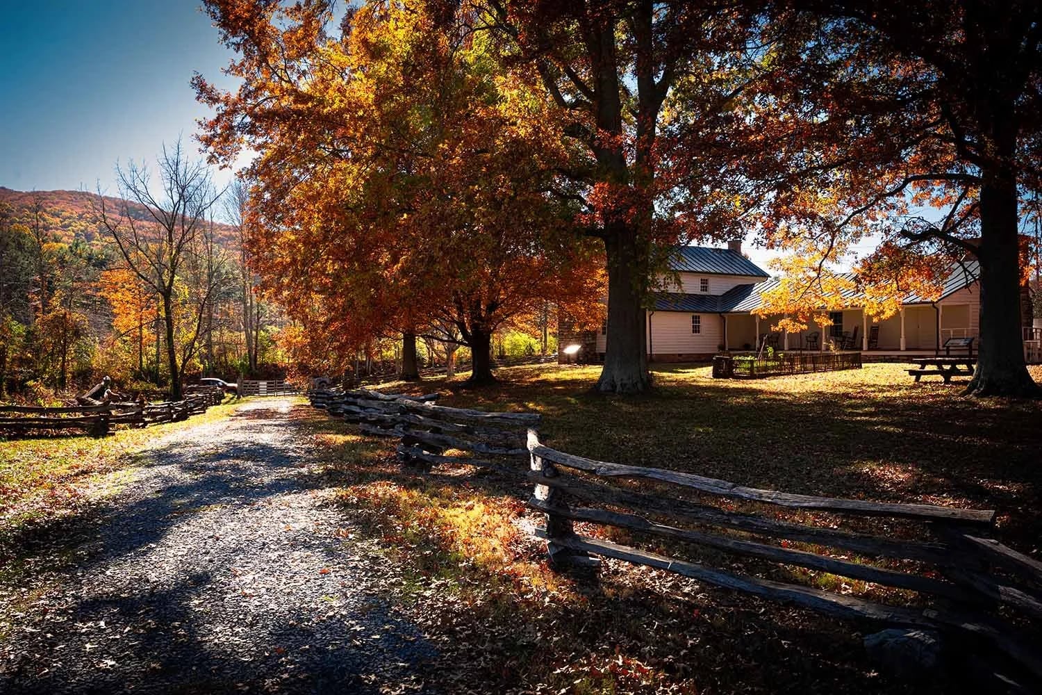 Photo of Tipton-Haynes State Historic Site