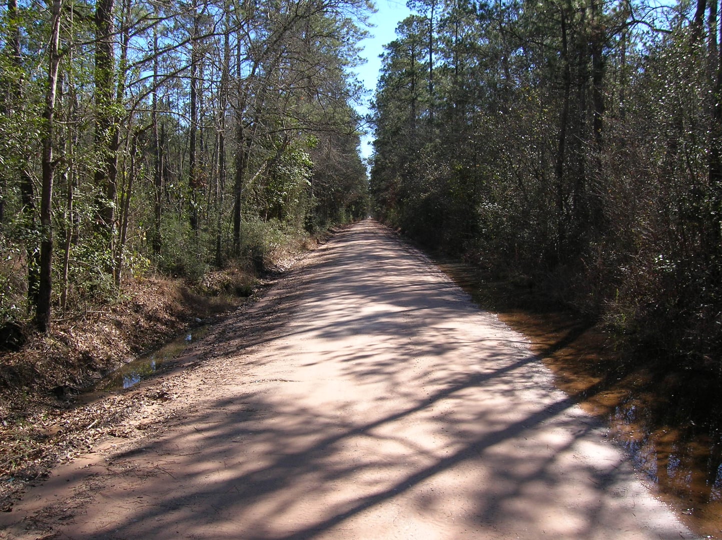 Bragg Road (aka "Ghost Road") located in Hardin County, Texas. Located north of Saratoga, looking south. This is where the GCSF Railroad tracks ran from Bragg Station to Saratoga until 1934.