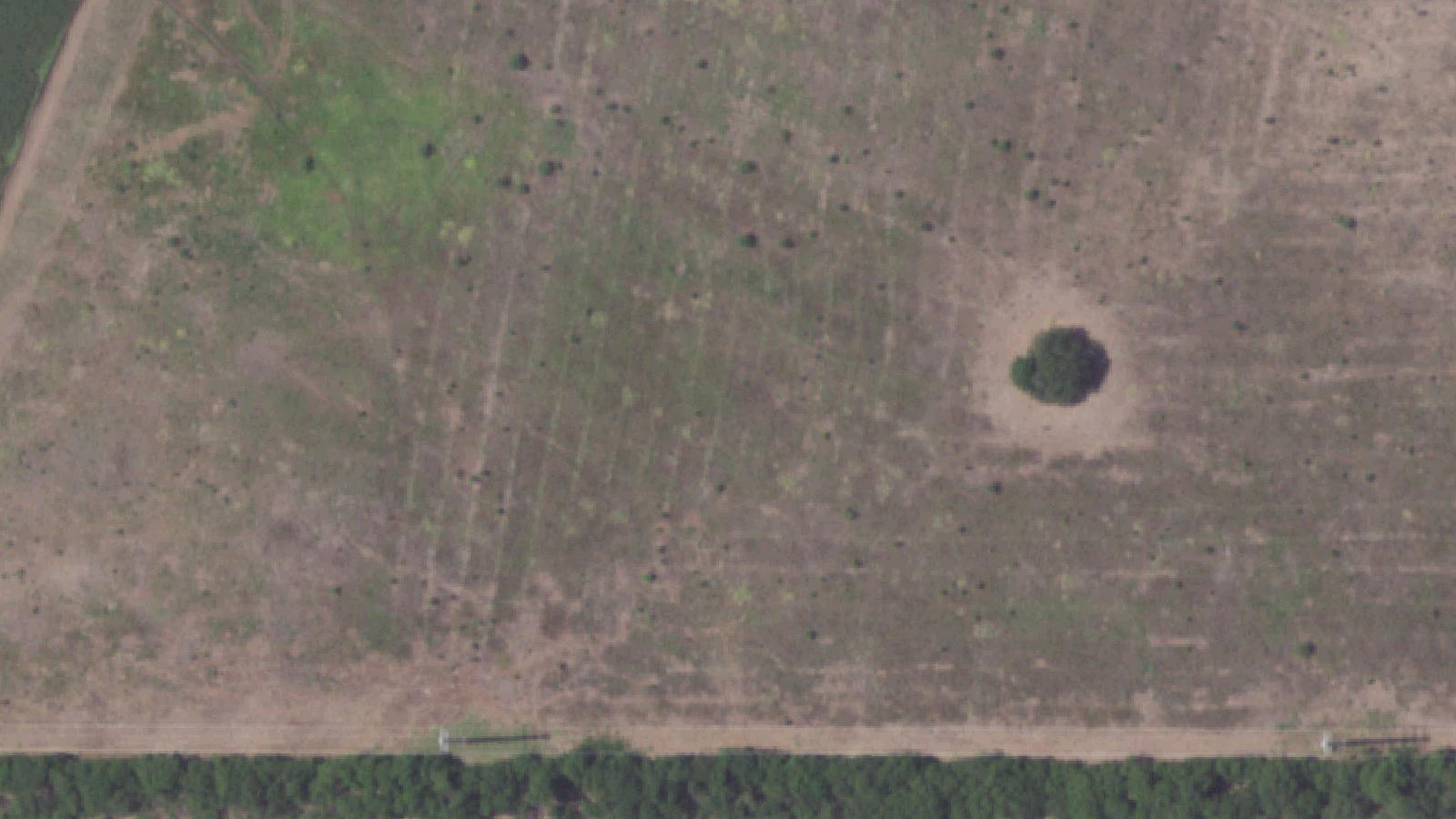 Aerial survey view of El Camaroncito Nightclub (Dancing Devil Site)