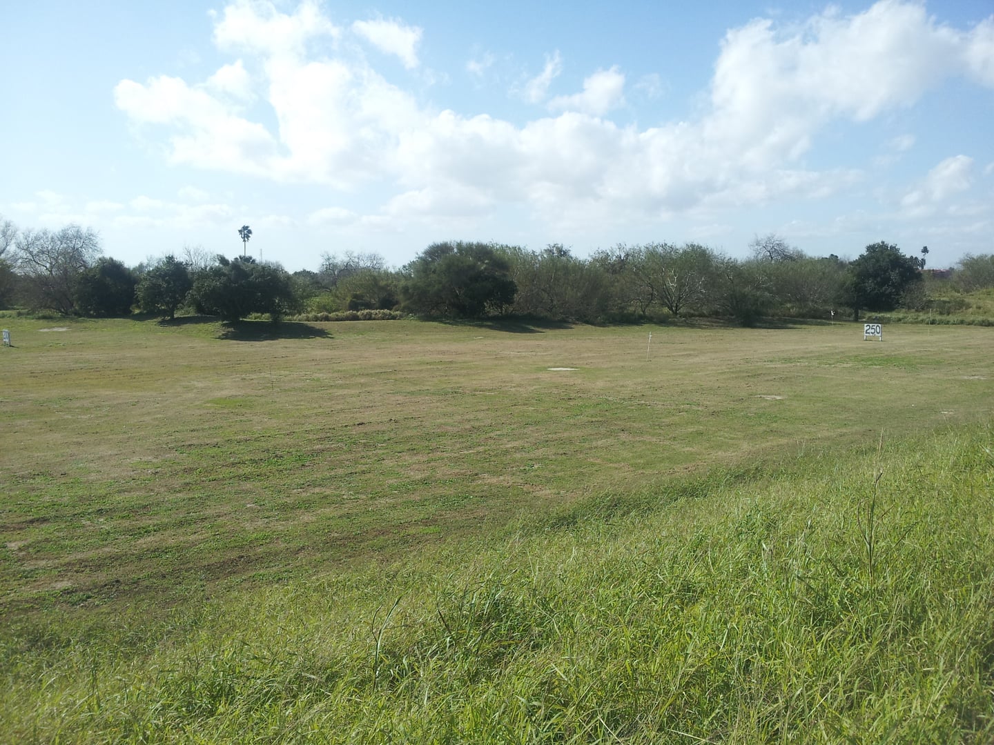 Surviving earthwork remnants at Fort Brown on the UTRGV campus, Brownsville, Texas