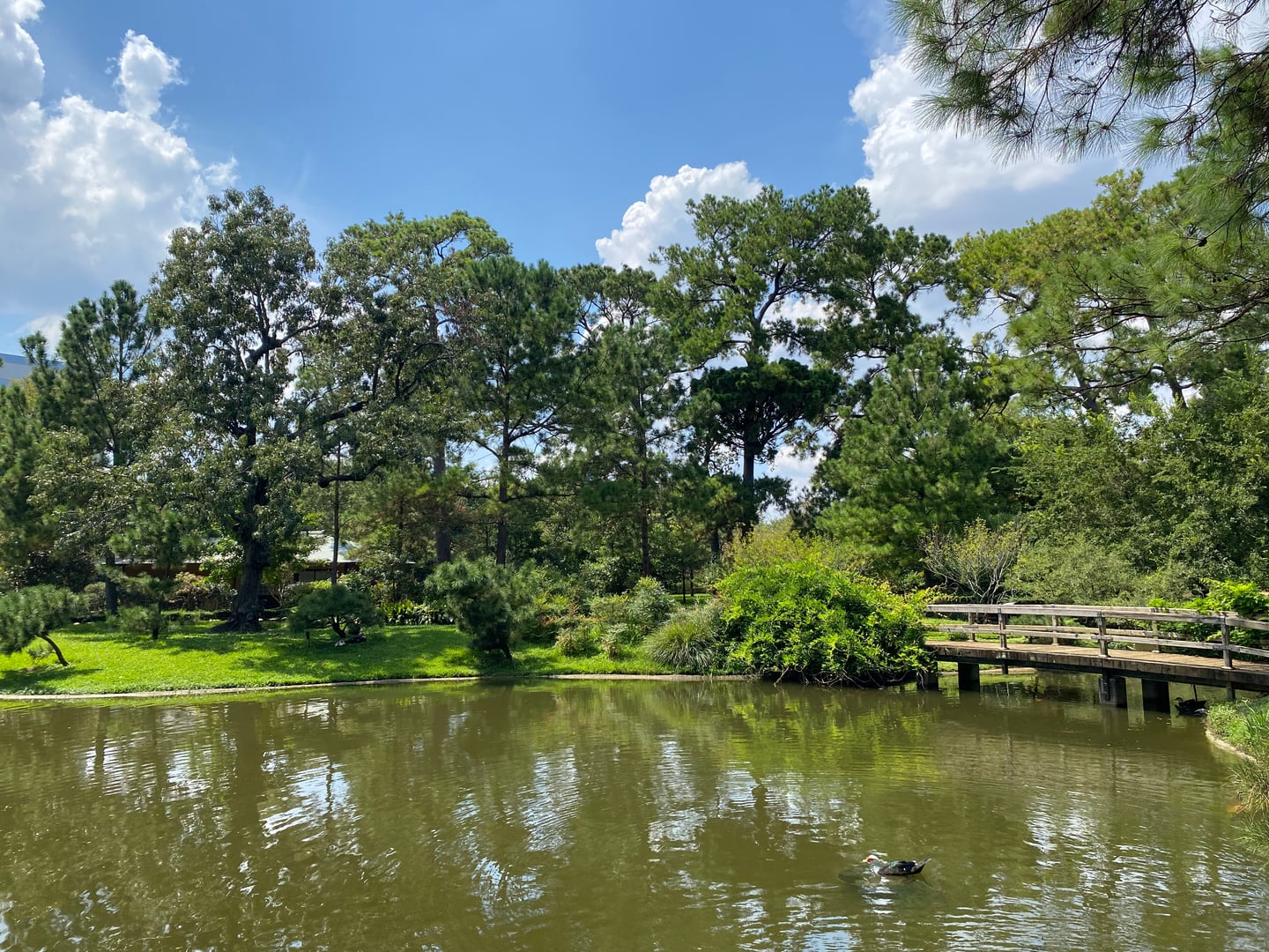 Photo of Hermann Park