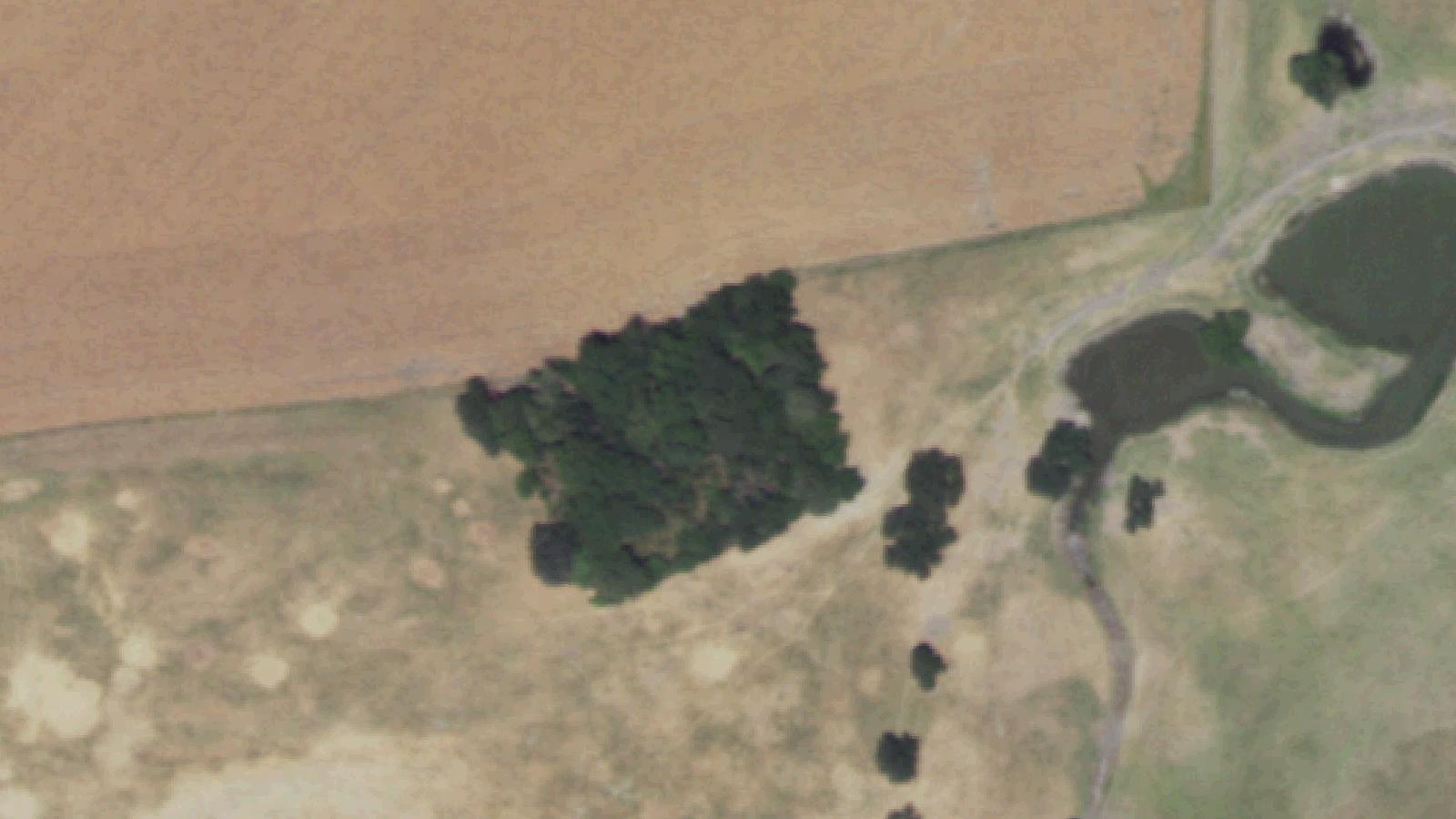Aerial survey view of Lone Oak Cemetery