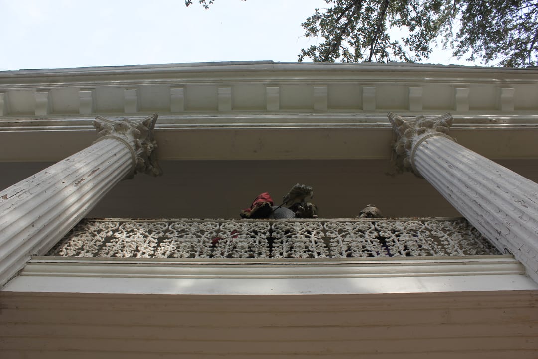 Victoria's Black Swan Inn seen across its front lawn, framed by a large live oak.