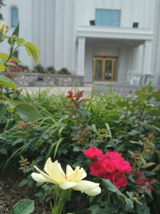 Brigham City Museum-Gallery, a museum in Brigham City, Utah, United States.