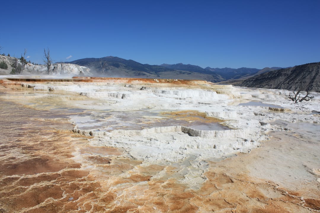 Photo of the central region of the Mammoth Hot Springs. In the background, you can see the distant mountains northeast Wyoming. The terraces are made of the crystalized calcium carbonate, which solidfies when cooled. The Mammoth Hot Springs are a constant tourism spot, and this picture was taken at 