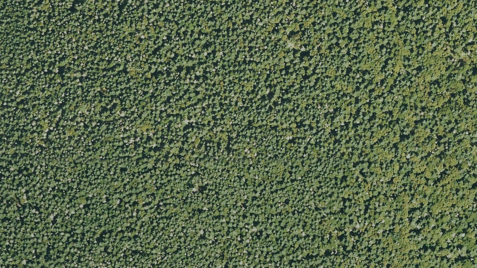Aerial survey view of Glastenberry Mountain