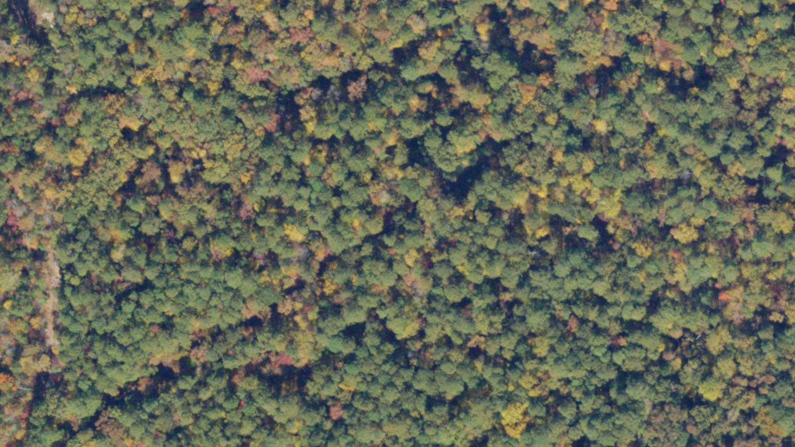 Aerial survey view of Crawford Road