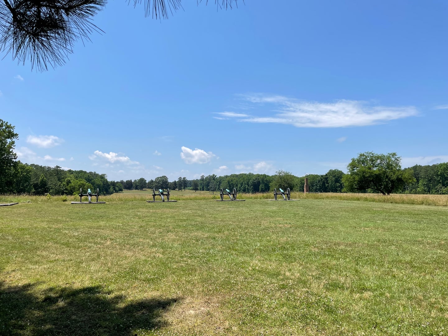 A line of four Civil War cannons in tall grass marking the earthworks of Fort Morton at Petersburg National Battlefield, Virginia
