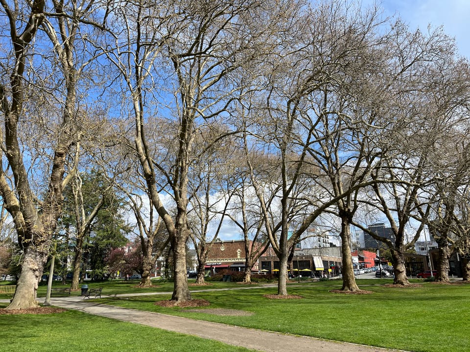 Seattle in April 2024