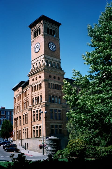 Old City Hall, Tacoma, Washington, a tall vertical view under clear blue sky beside a tree, November 2013.