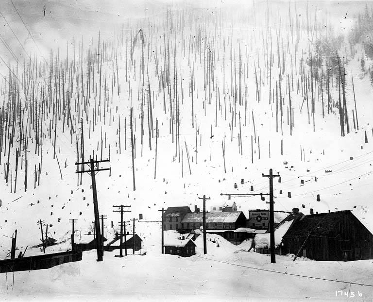 Wellington Avalanche Site