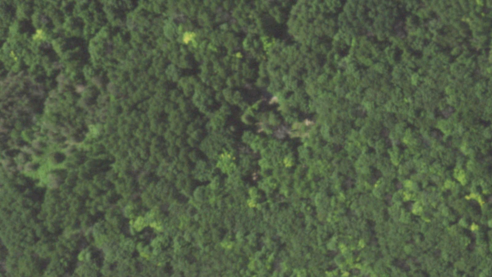 Aerial survey view of Glenbeulah Cemetery