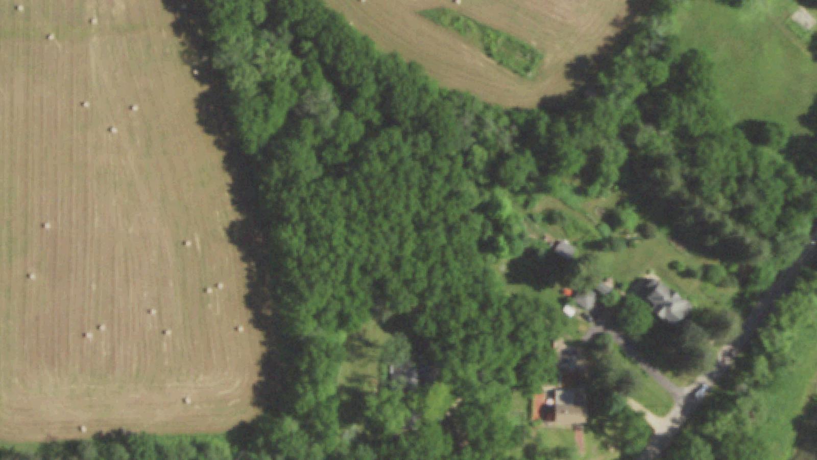 Aerial survey view of Graceland Cemetery (Mineral Point)