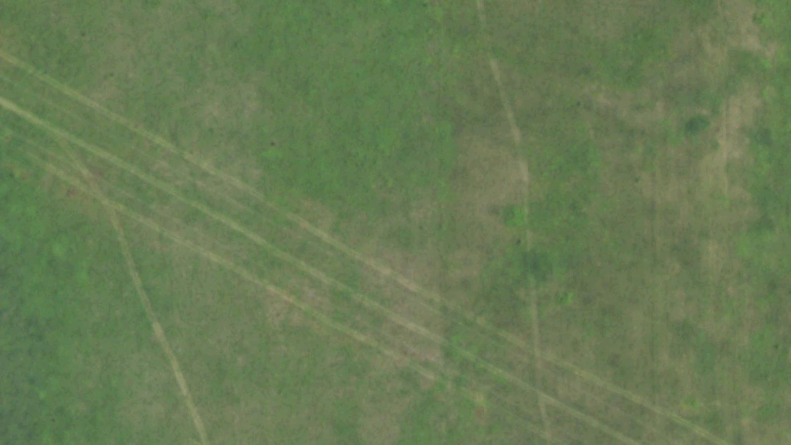 Aerial survey view of Rienzi Cemetery